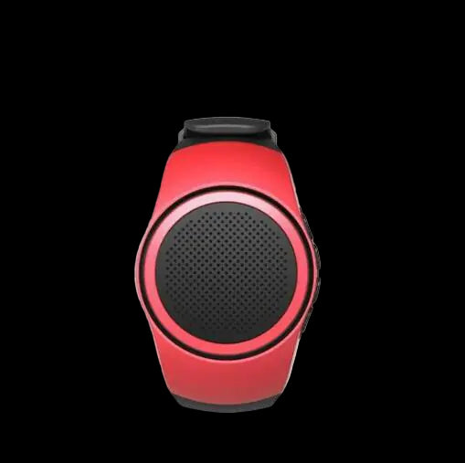 Bluetooth Speaker, Sports Watch, Smart Speaker