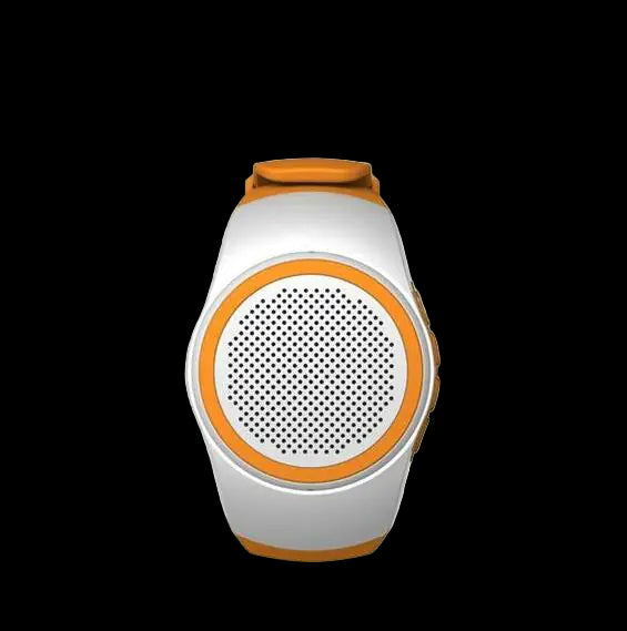 Bluetooth Speaker, Sports Watch, Smart Speaker